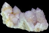 Cactus Quartz (Amethyst) Crystal Cluster - South Africa #180721-1